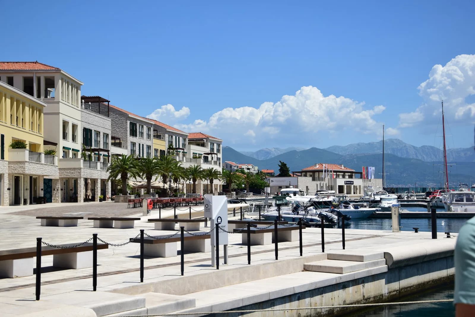The Portonovi Marina promenade — stone quay, palms and moored yachts
