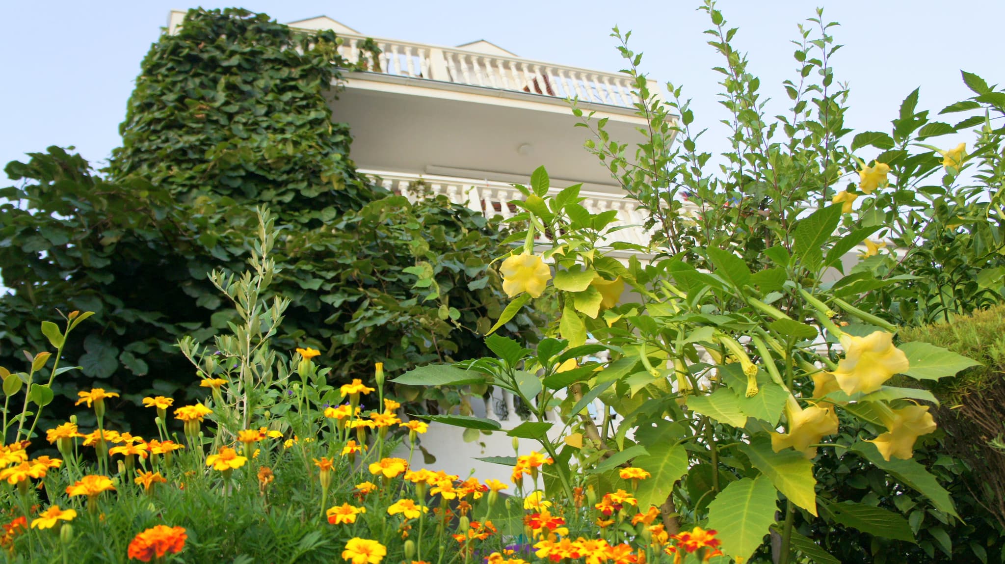 The house behind its flower garden
