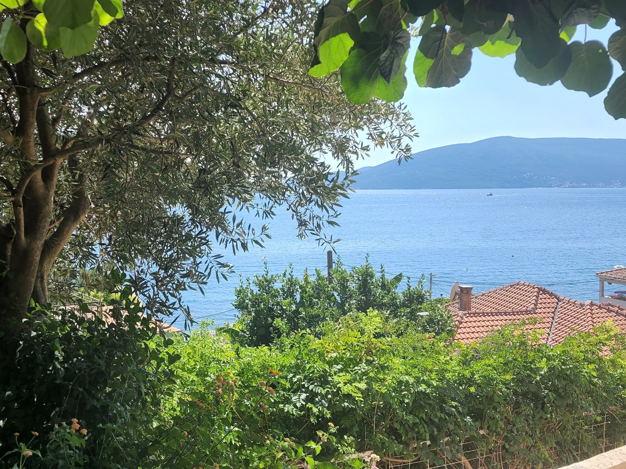 The bay through the olive branches, over the terracotta rooftops below the villa