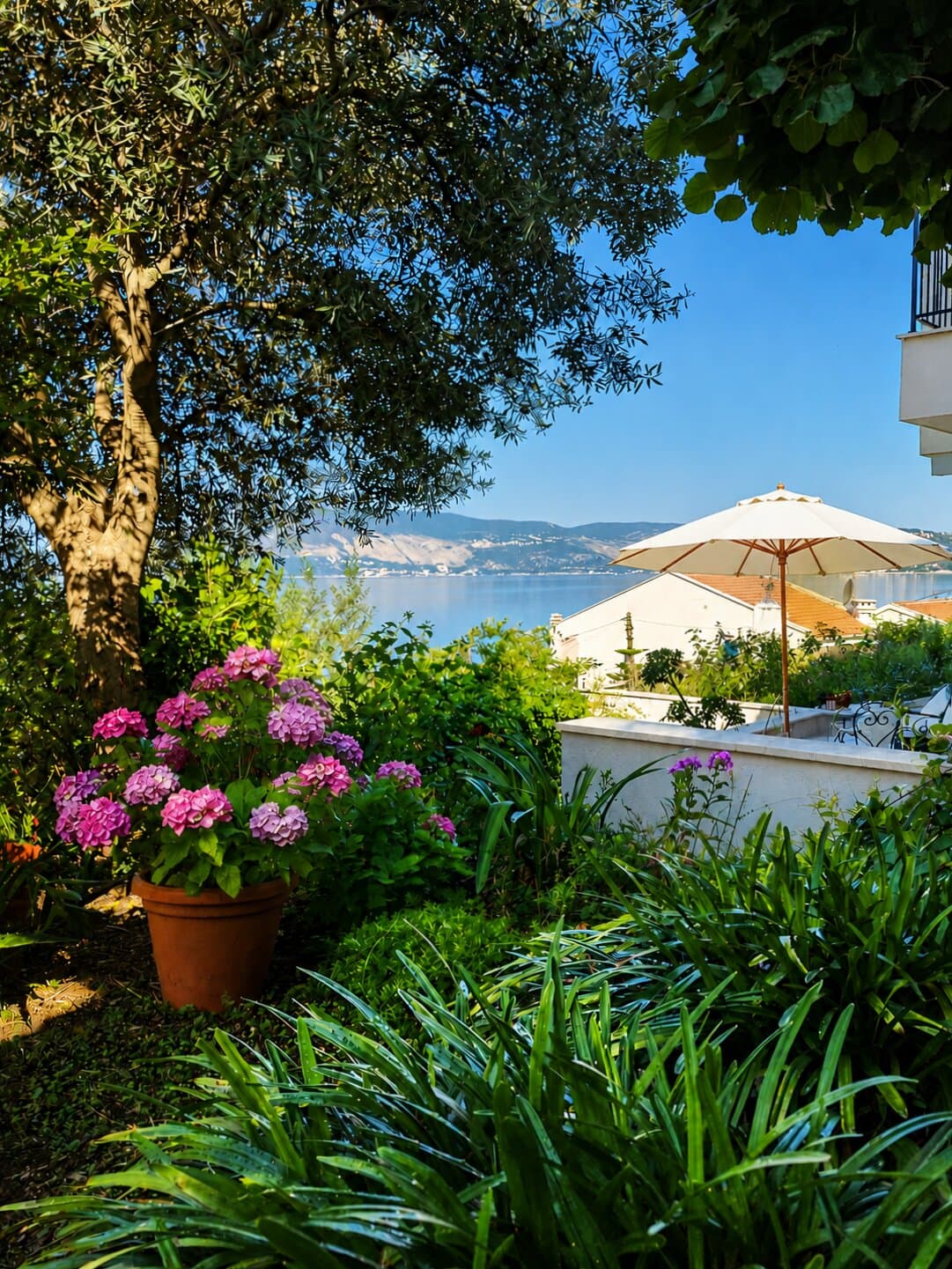 Potted hydrangeas in the garden, sun umbrella and the bay beyond